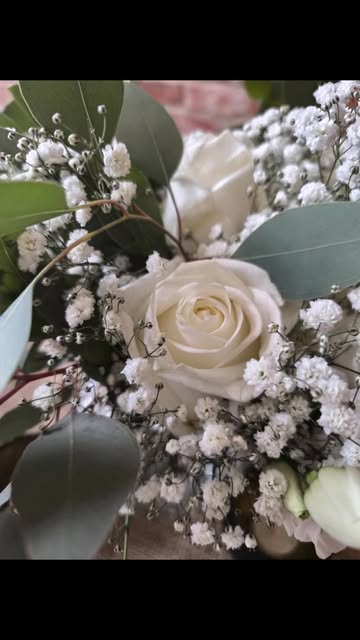 Weiße Rosen und Schleierkraut in Nahaufnahme